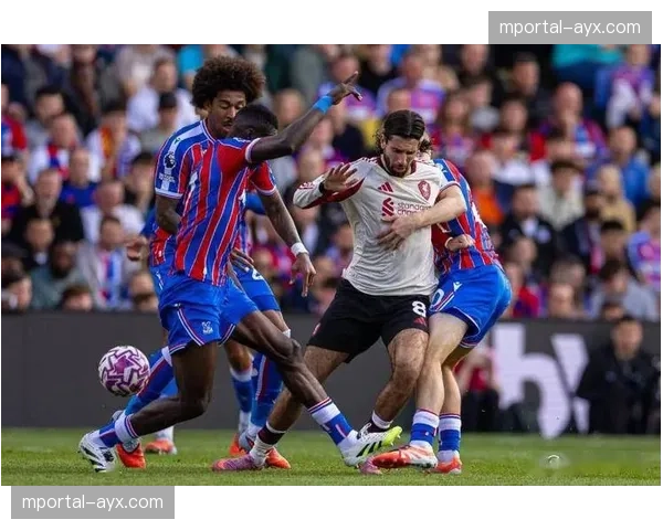 水晶宫中后场双核沃顿拉克鲁瓦伤缺，三中卫体系面临重组压力